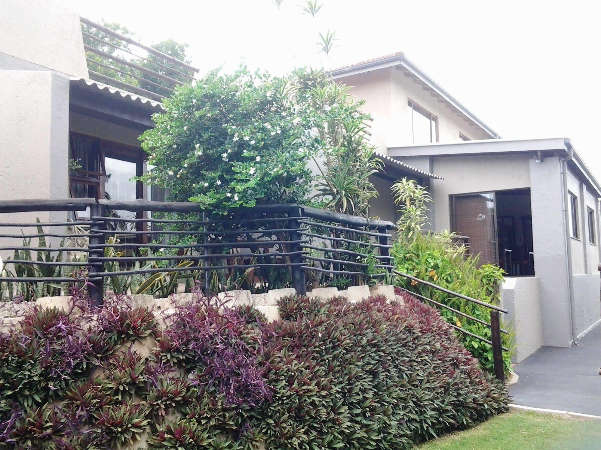 德班阿奇多格旅馆住宿加早餐旅馆 外观 照片